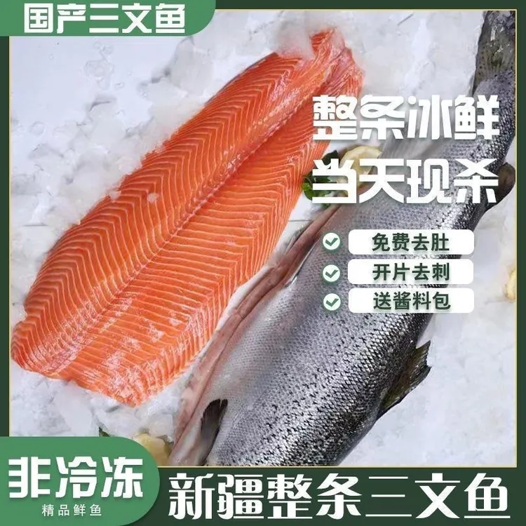 国产新疆天蕴三文鱼整条生鱼片即食品质优选新鲜虹鳟鱼开片拔刺