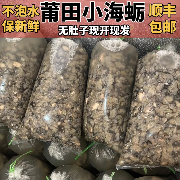 福建莆田本地海蛎肉灵川下尾小海蛎子现开现发不泡水无肚新鲜