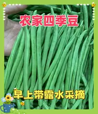 【三斤福利】露天农家自种四季豆新鲜脆嫩多汁当季时令蔬菜现摘现发