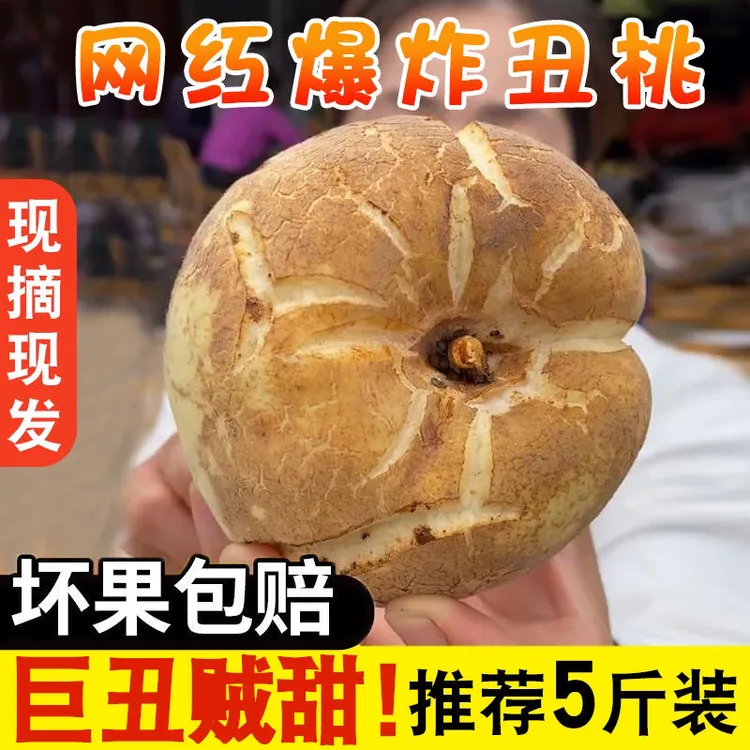 网红爆款爆炸桃河南大冬桃应季水果新鲜现摘脆甜爽口