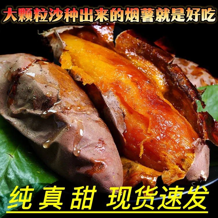 (2-3精选小果)山东烟台烟薯25号糖心流油蜜薯红薯地瓜5斤10斤装