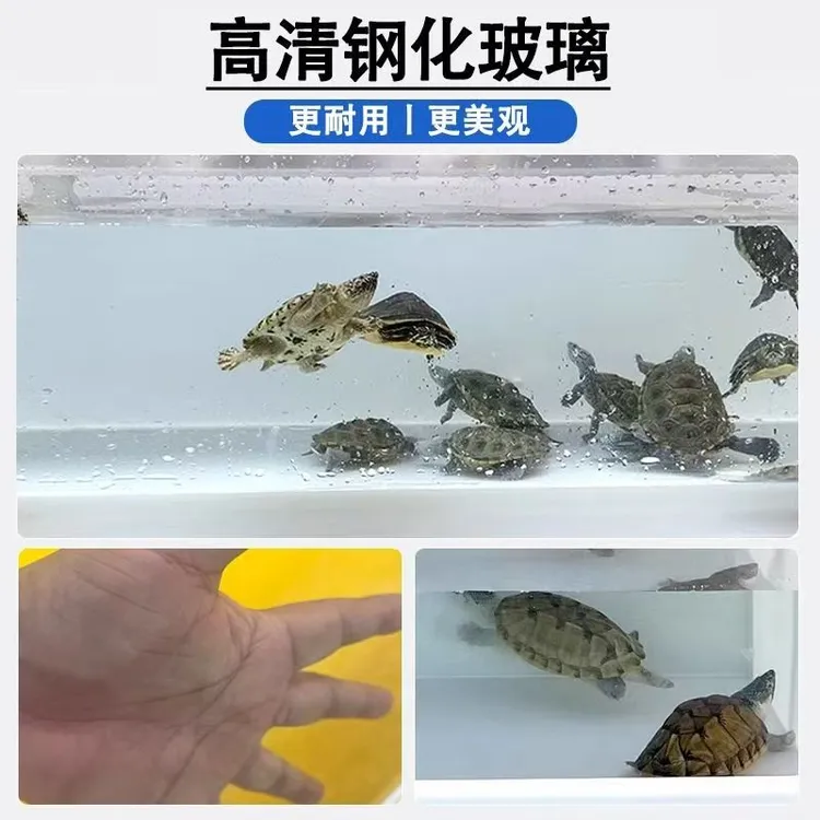 PP塑料板一面高清观赏乌龟箱鱼箱