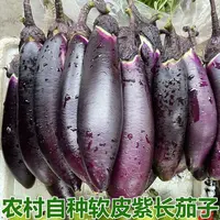 优【茄子】湘西农家老品种露天茄子