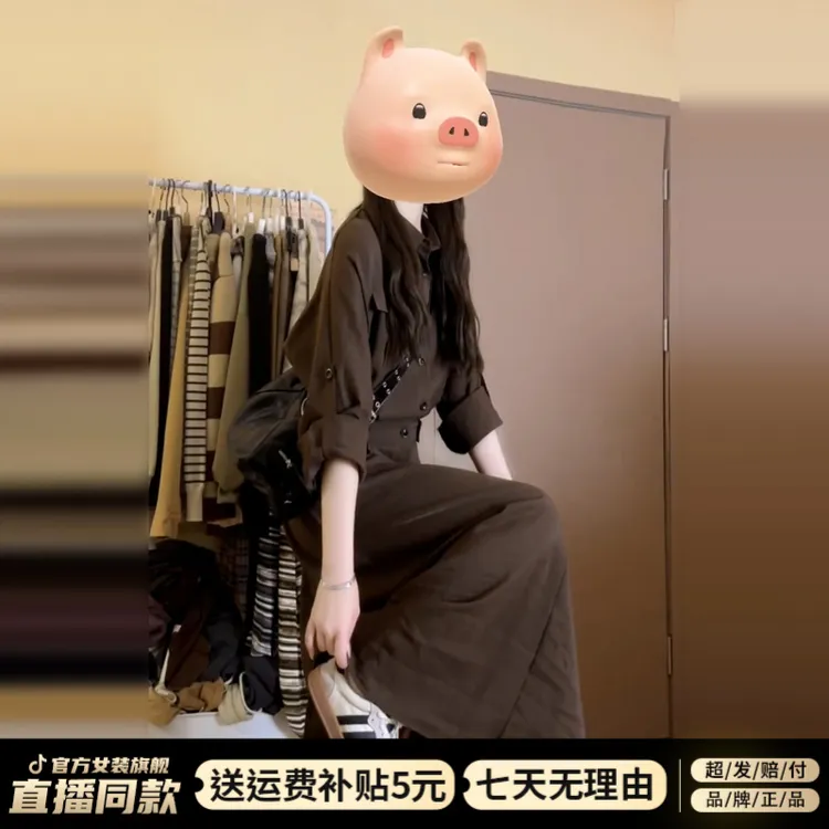 复古高智感盐系长袖衬衫裙女秋2025新款小个子翻领大方得体连衣裙
