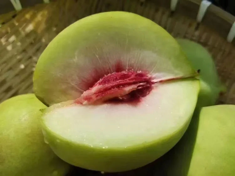 广东河源连平鹰嘴桃（当季新鲜蜜桃）