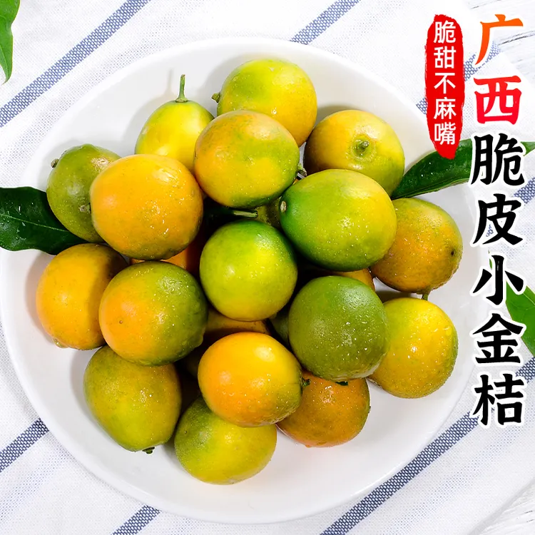 【香甜肉脆】广西融安脆皮小金桔1斤小橘子滑皮金桔柑橘新鲜水果