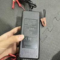 12V磷酸铁锂充电器一个