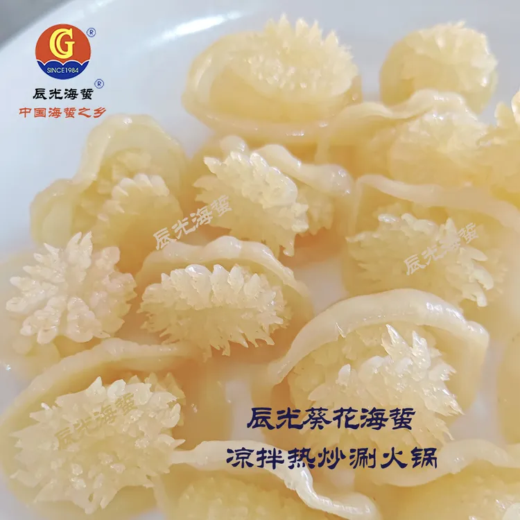 葵花海蜇（多种吃法）海蜇花 口感脆爽 凉拌热炒涮火锅（ 2斤/5斤 ）