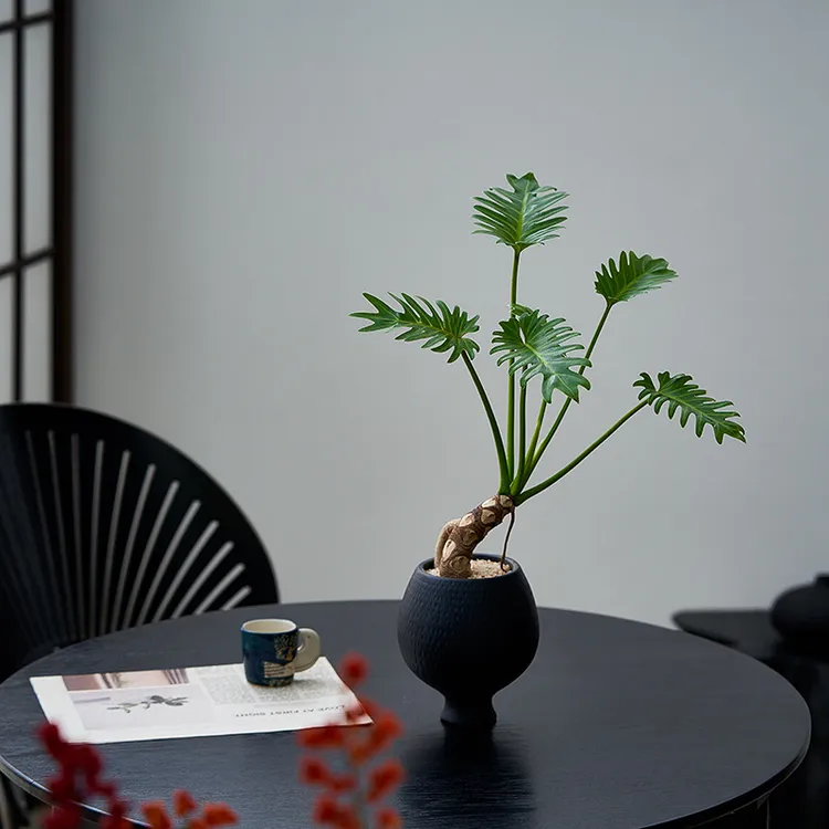 网红中古诧寂风观叶植物室内桌面办公桌龙鳞小天使蔓绿绒植物盆栽
