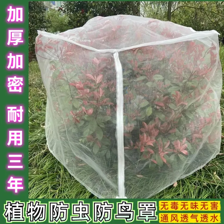 果树防虫防鸟罩嘉宝果芭乐果杨梅枇杷樱桃雾莲防果蝇针蜂水果套袋