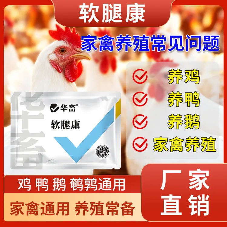 软腿康鸡鸭鹅家禽站立不稳腿软无力蛋禽专用补钙走路不稳S商品图