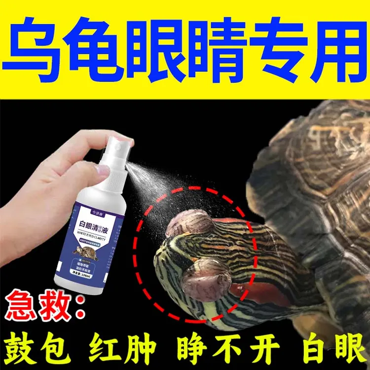 各种龟白眼蒙眼巴西草龟南石龟鼓包红肿小乌龟眼睛睁不开怎么办
