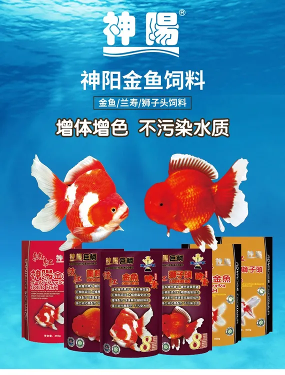 神阳金鱼玉鲭兰寿狮子头正品专用饲料通用强增色高蛋白鱼食小颗粒