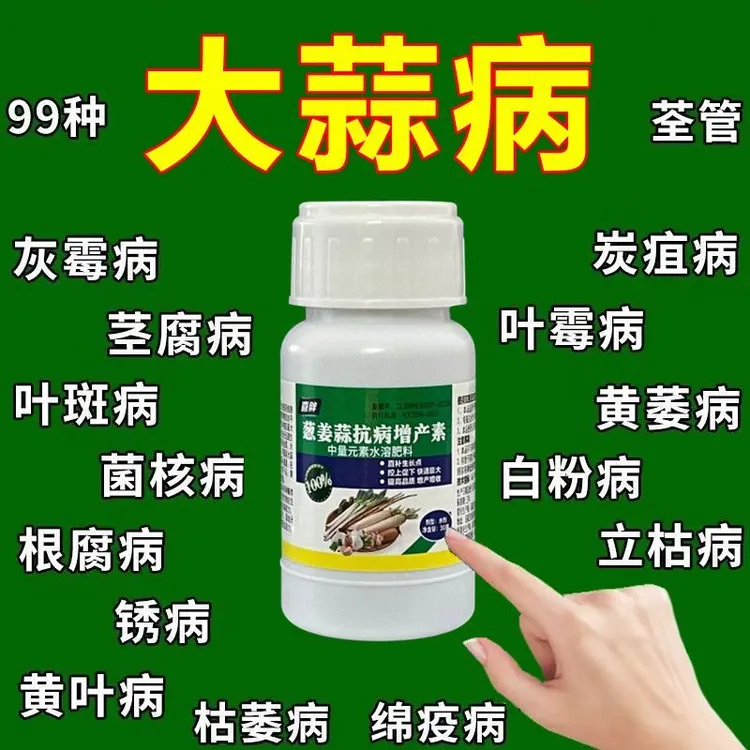 大蒜猛长大蒜专用肥防干尖软腐病疫病病毒病白粉病锈病增瓜灵