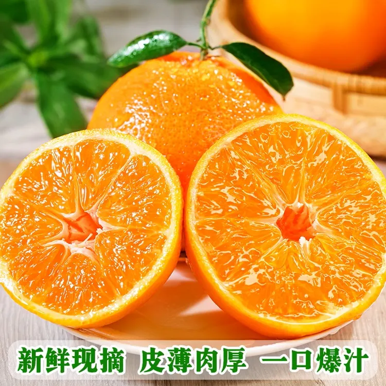 H四川春见耙耙柑头茬果耙耙橘子高山种植爆汁产地直发