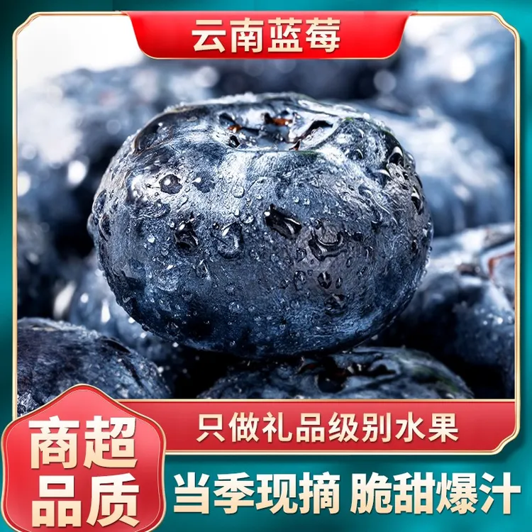 【直播专享】云南蓝莓新鲜水果当季高山云南蓝莓大甜整箱现摘