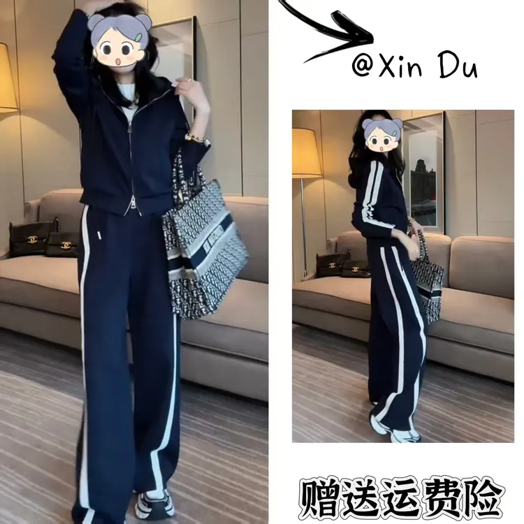 2025秋季新款时尚显瘦气质女士网红洋气两件套百搭款D22183