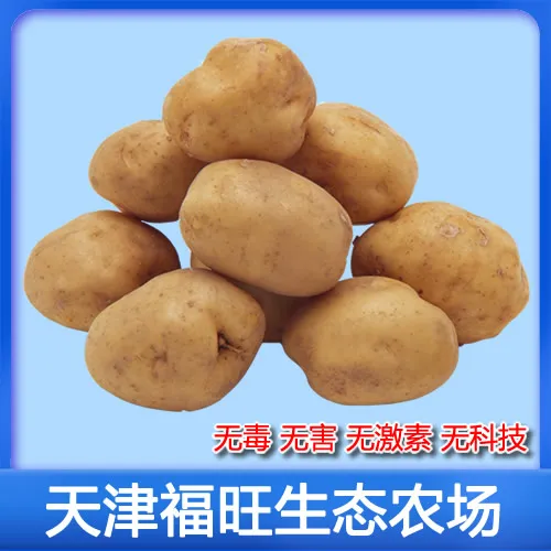 沙土地黄心土豆9斤[福旺农场优选顺丰包邮]
