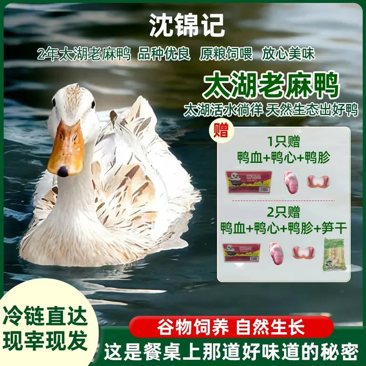沈锦记太湖麻鸭农家生态散养老麻鸭现抓现杀紧实嫩麻鸭肉顺丰发货商品图