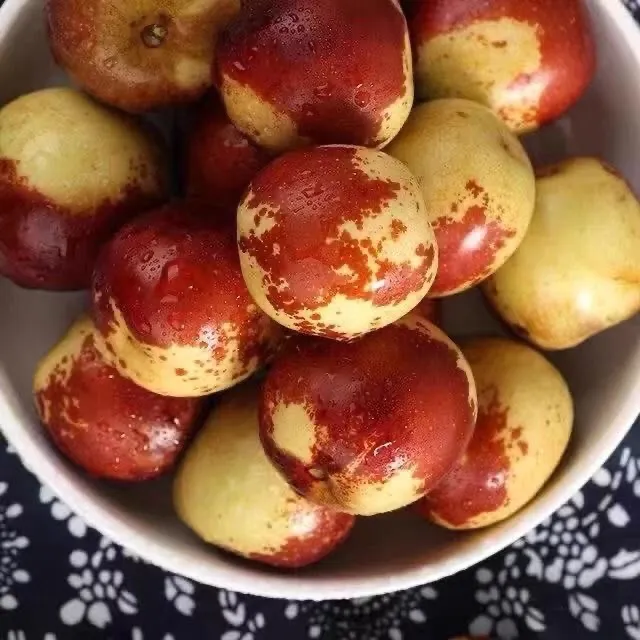 【黄骅冬枣酥脆甜】河北特产沧州冬枣现摘现发0农残孕妇可吃顺丰