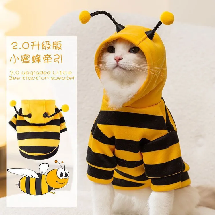 搞怪猫咪衣服防掉小蜜蜂比格犬狗狗小型可爱蓝猫春秋新款宠物卫衣