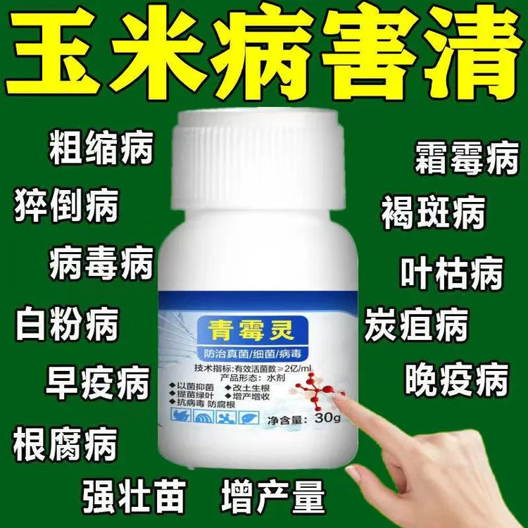 微生物肥料玉米病专用锈茎腐炭疽顶腐黄叶卷叶大葱专用叶面肥