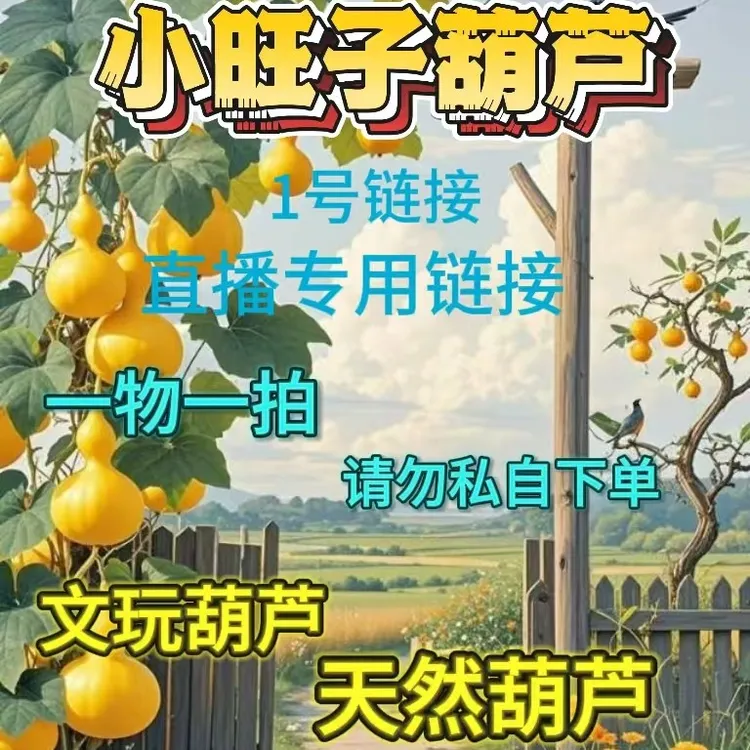 一物一拍【直播间价格链接】