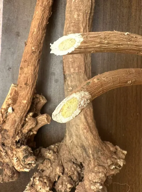 甘肃岷县老黄芪 多年生 整根，切片 产地直发包邮