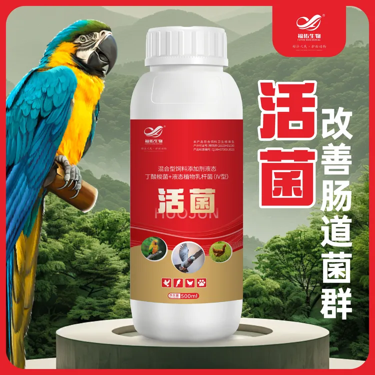 鸟类专用鹦鹉活菌益生菌调理长道拉稀水绿便鸽子粪便成型赛鸽信鸽