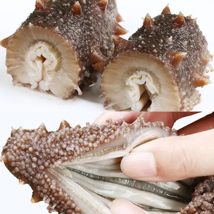 【好礼】4-6头 500g 冷蒸即食海参新滕海精选海参 品质保证