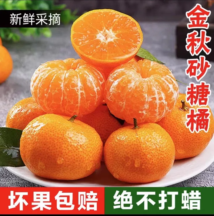【坏果包赔】正宗金秋砂糖橘沙糖桔纯甜薄皮橘子新鲜无籽桔子SY 
