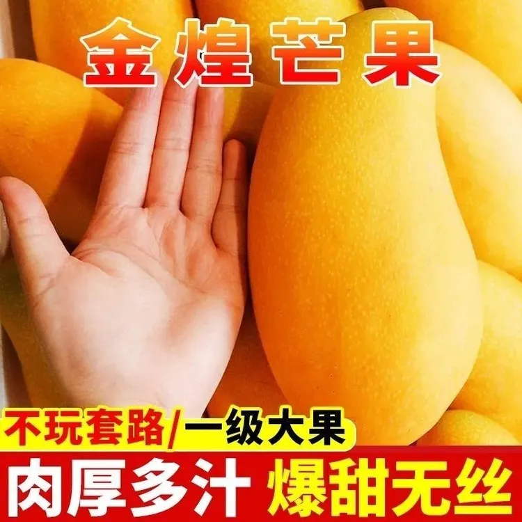 金煌芒正宗芒果新鲜水果青皮应季当季甜心大青芒整箱