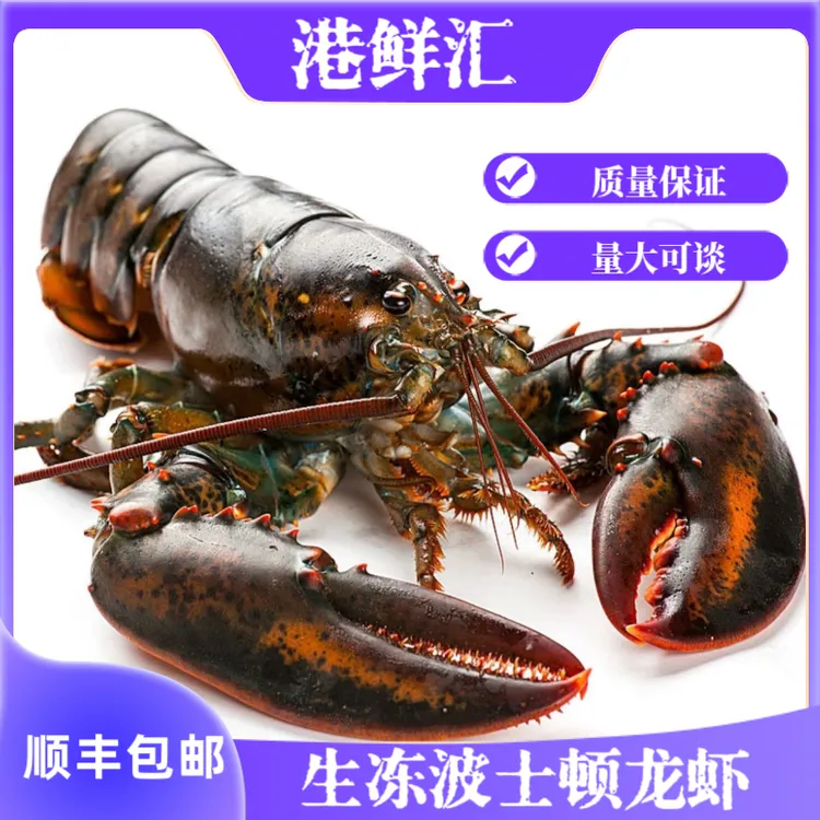 生冻波士顿龙虾新鲜速冻加拿大龙虾海产品肉质紧实顺丰包邮到家