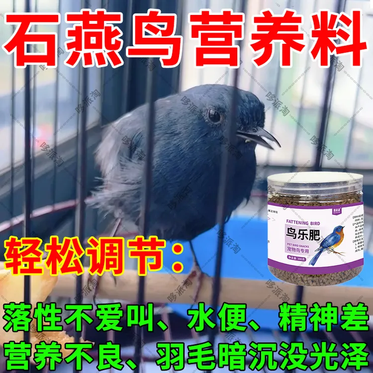 石燕鸟红尾水鸲【小颗粒】传统手工制作易吸收易消化饲料优质蛋白