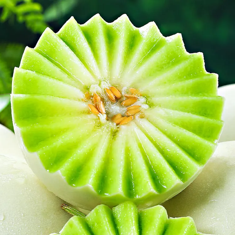 冰淇淋甜瓜 玉菇 头茬新鲜应季 软糯香甜 多汁 产地现摘现发