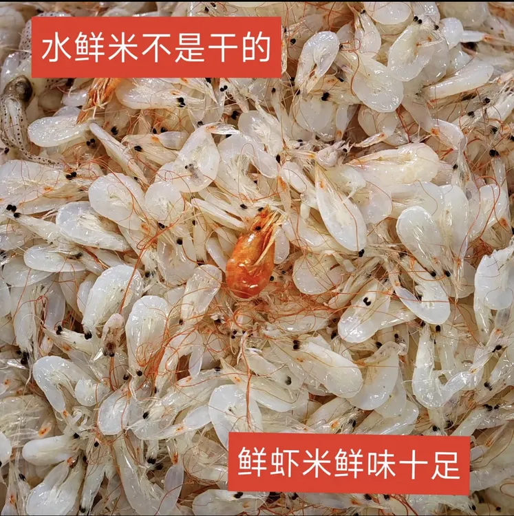 刚下船的渤海湾鲜虾皮（湿的不咸）