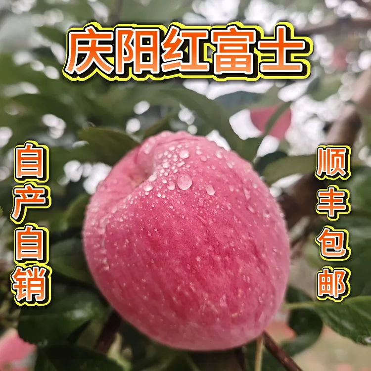 甘肃庆阳红富士苹果高端礼盒新鲜脆甜汁水饱满小时候的味道
