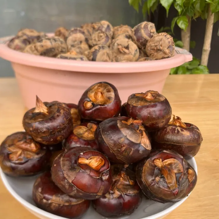 广西马蹄果荸荠横州市本土产可炒鸡肉煮食新鲜果