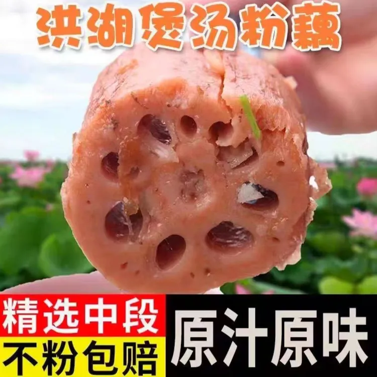 湖北洪湖粉藕新鲜煲汤藕青泥巴藕面藕炖汤粉糯莲藕火锅配菜底料
