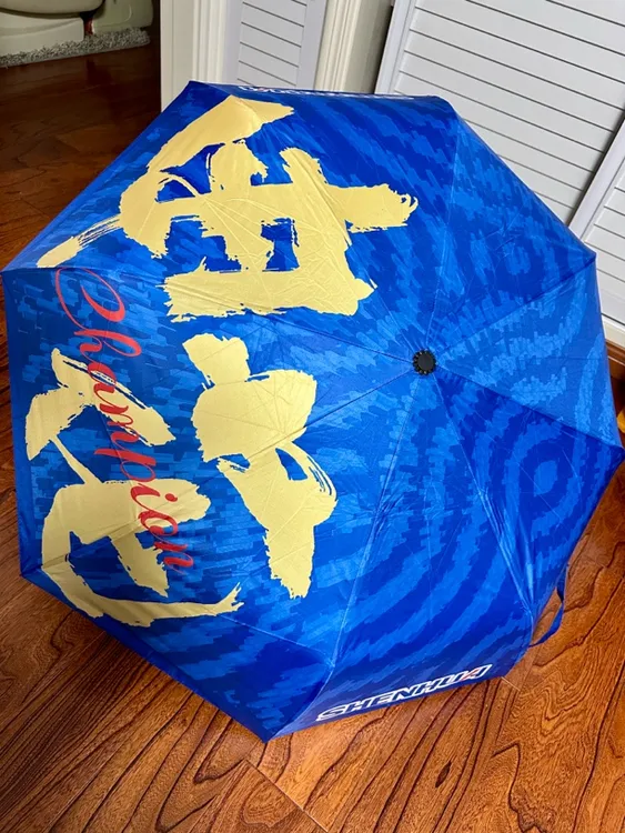 申花自动晴雨伞 收起28cm