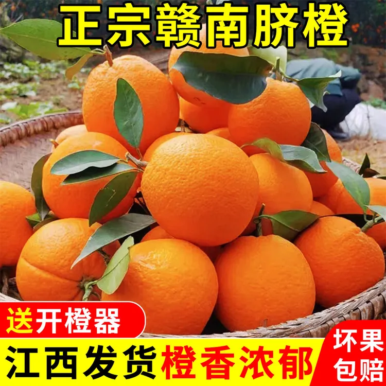 正宗赣南脐橙橙江西橙子当季新鲜水果产地直发整箱精品大果彩箱