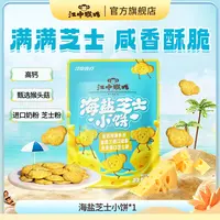 江中猴姑海盐芝士小饼干咸香酥脆四神方小饼休闲宿舍零食猴头菇ZB