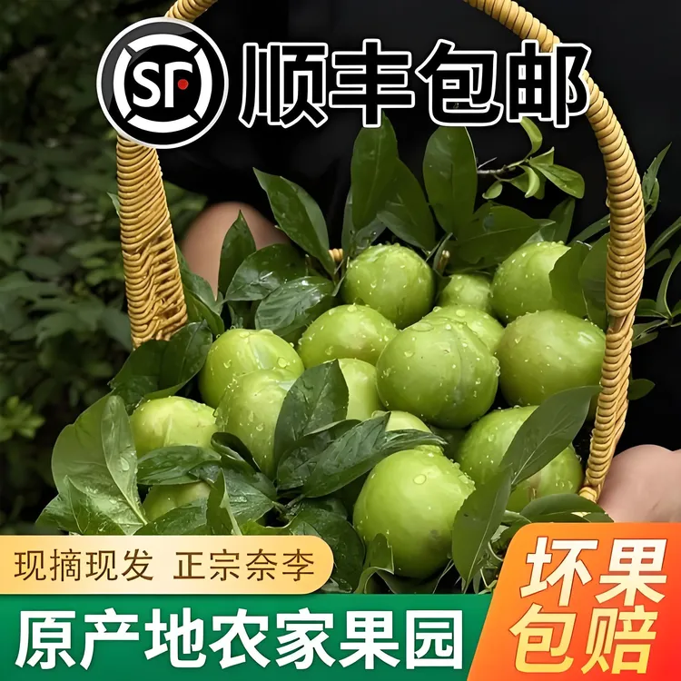 广西脱骨奈李新鲜水果当季现摘现发空心青脆甜