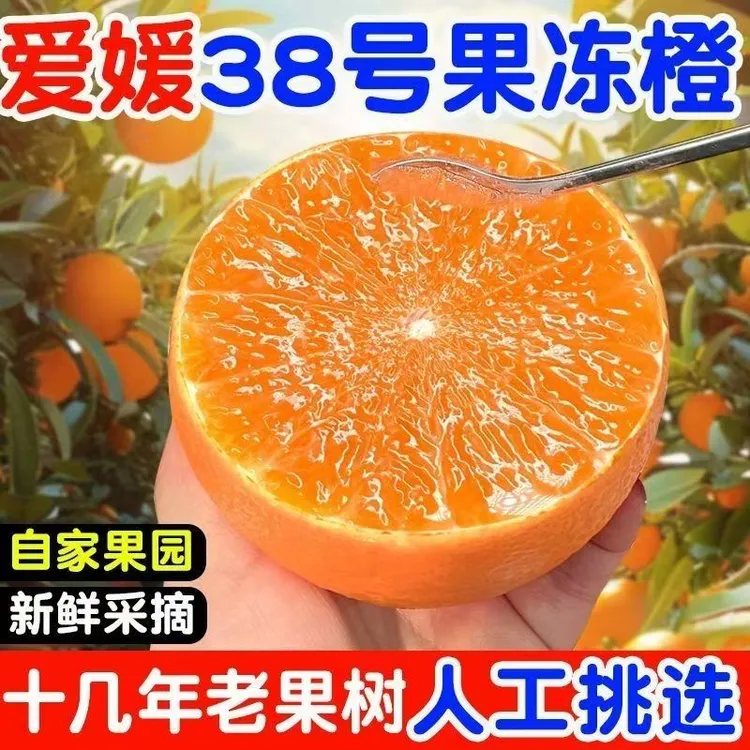【红姐专属】四川新鲜橙子正宗爱媛当季38号果冻橙应季水果柑橘橙子