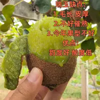 【海龙的果】陕西瑞玉猕猴桃 净重4.5斤 中通