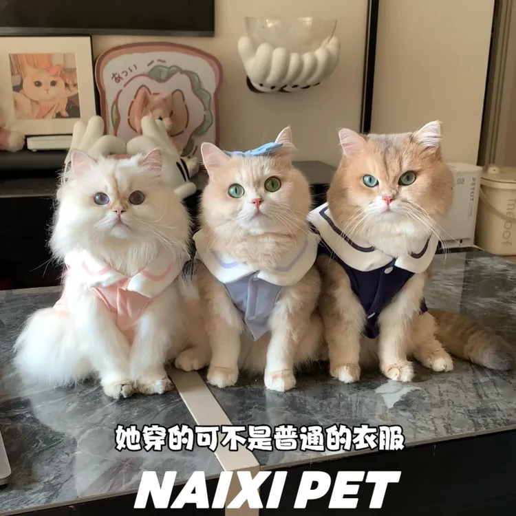 宠物猫咪狗狗春秋polo衫海军领学院风背心透气休闲翻领上衣金渐层