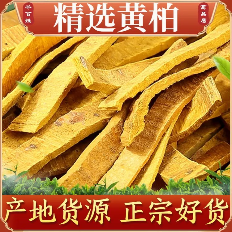 黄柏正宗四川正品黄柏丝去皮黄柏新货泡水泡茶手工优质新货