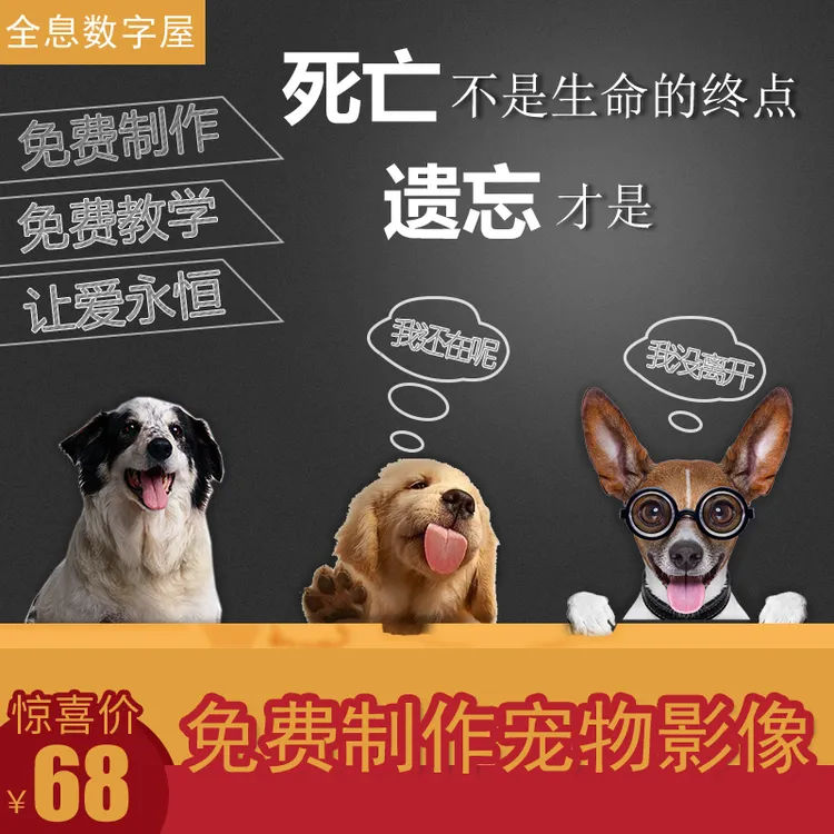 宠物全息投影电子宠物智能伴侣数字纪念品影像摆件定制