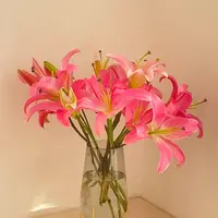 【植迷不误】普拉芬多百合 居家 插花 云南鲜花 基地包邮直发