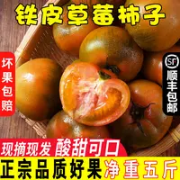丹东铁皮草莓柿子盐碱地现摘现发西红柿（顺丰包邮）